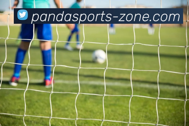 熊猫体育视界APP 体育赛事宣传图